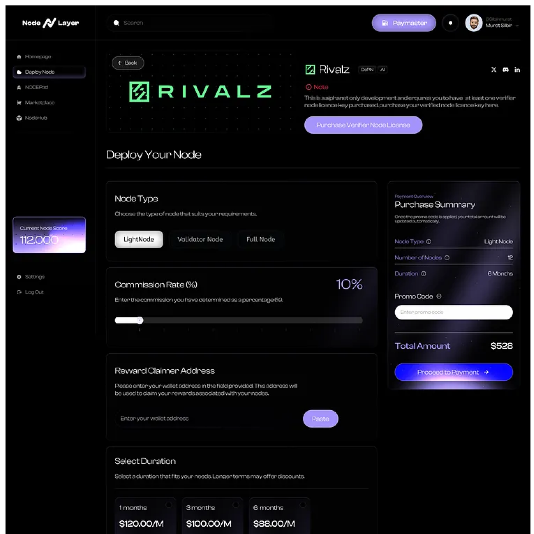 Nodelayer Web App image 1